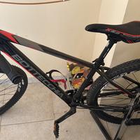 Bici Mountain Bike Bottecchia
