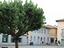 Immagine 7