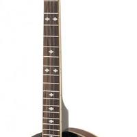 banjo Harley Benton HBJ-25LH