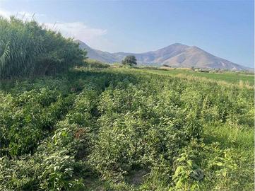 Terreno di 3650 m² a Mondragone