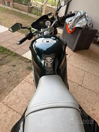Triumph