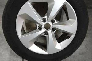 Cerchi qashqai 17