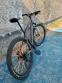 Bici mtb