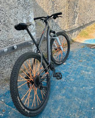 Bici mtb