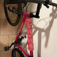 Mountain bike bicicletta Colnago