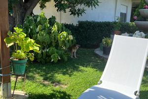 Casa vacanza Torre di Bari Sardo