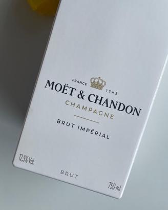 Bottiglia champagne moet e chandon brut