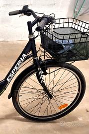 bicicletta  a pedalata assistita