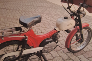 Guzzi modello dingo 50