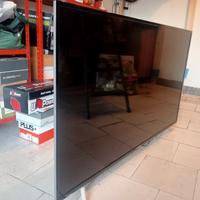 TV 55 POLLICI 