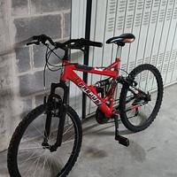 bicicletta da ragazzo 