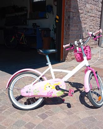 Bicicletta 16