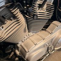 Harley Davidson XL883C