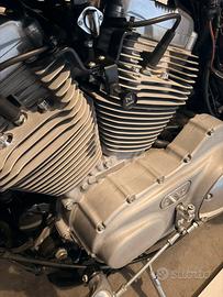 Harley Davidson XL883C