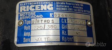 Motore Elettrico Trifase Doppia Velocità Riceng 0.