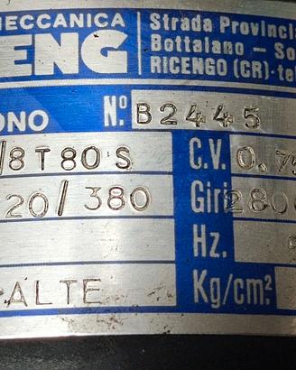 Motore Elettrico Trifase Doppia Velocità Riceng 0.