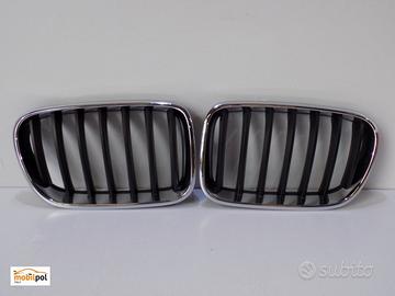 BMW X3 F25 Rene/ Griglia destra, sinistra - 4110