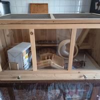 teca criceto e mobile