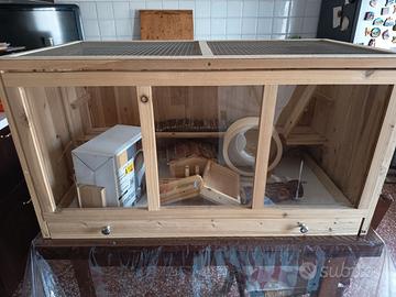 teca criceto e mobile