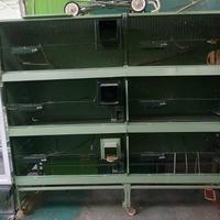 GABBIA PER UCCELLI COLORE VERDE