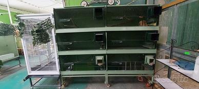 GABBIA PER UCCELLI COLORE VERDE