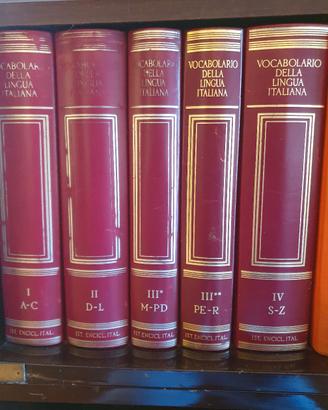 vocabolario della lingua italiana treccani 5vol
