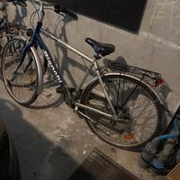 Bicicletta Bianchi uomo