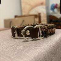 Collari e guinzaglio