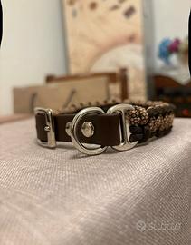 Collari e guinzaglio