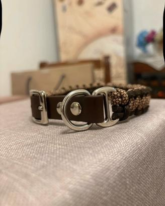 Collari e guinzaglio