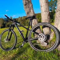 MTB Trek Procaliber 9.6