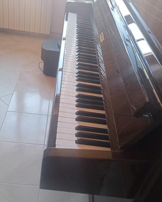 pianoforte  petrof