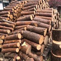 Legna da ardere dimensione stufa con Consegna