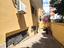 Immagine 15