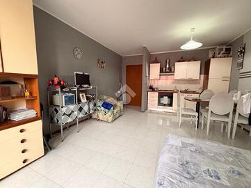 MONOLOCALE A VERDELLO