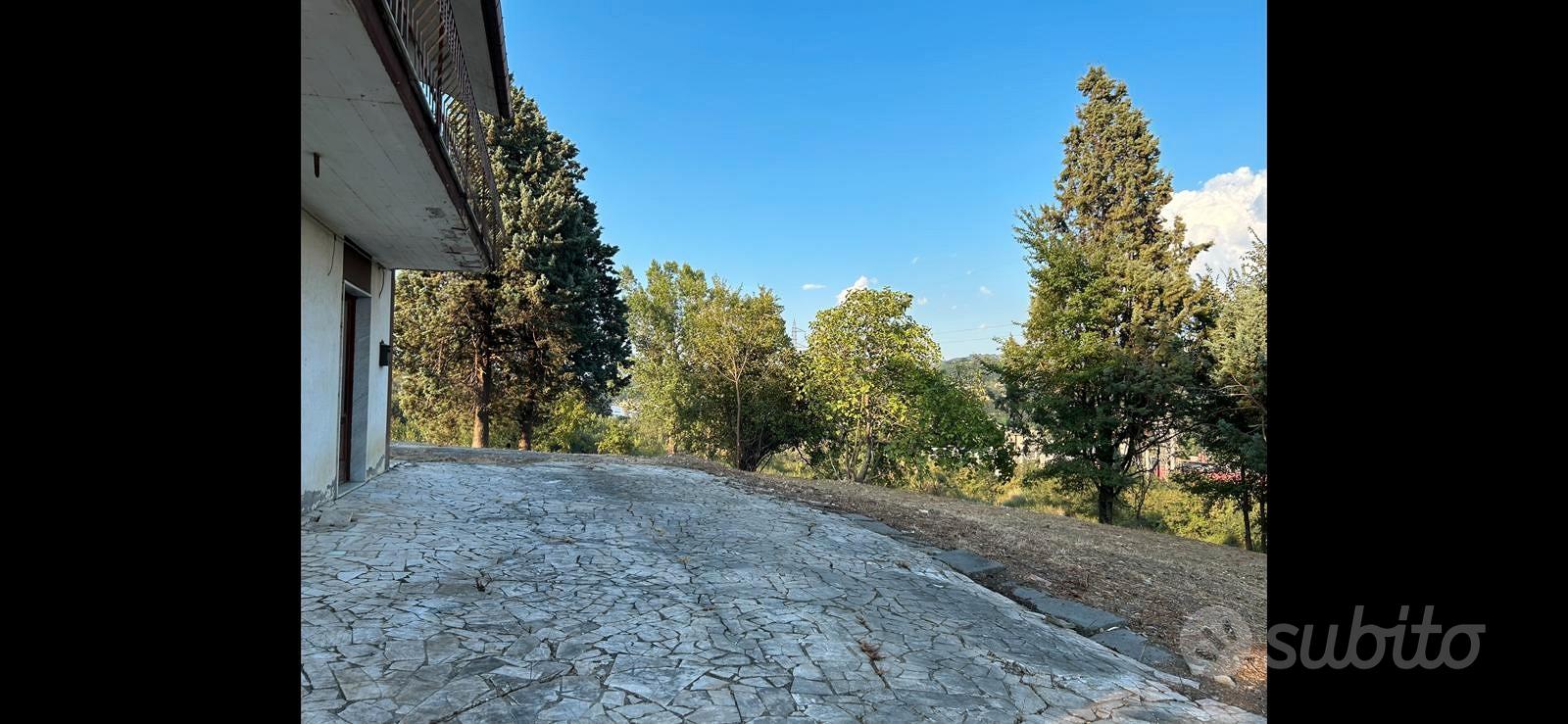 Proprietà di 45.000 mq con casa di 250 mq - Vista 4