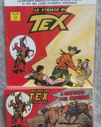 STRISCE DI TEX N.9