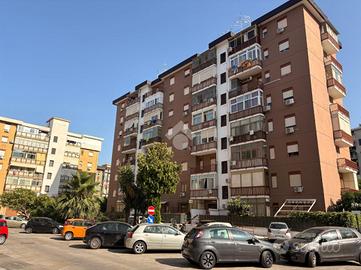 BOX A PALERMO
