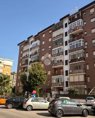 BOX A PALERMO