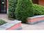 Immagine 16