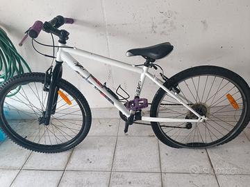 bicicletta bambino 24