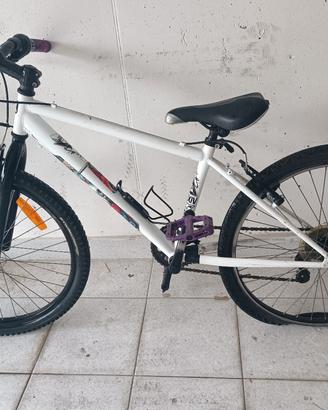 bicicletta bambino 24
