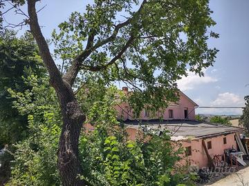 CASA SINGOLA a Belvedere Ostrense