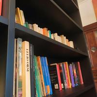 Libreria grande in legno massello nero opaco