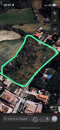 Terreno agricolo 9500 mq