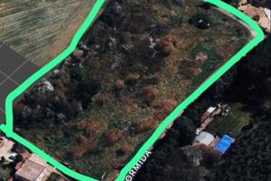 Terreno agricolo 9500 mq