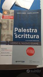 palestra di scrittura 