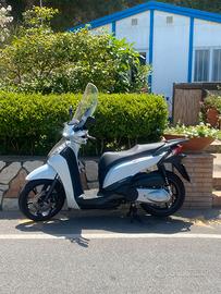 Sh 300 sport