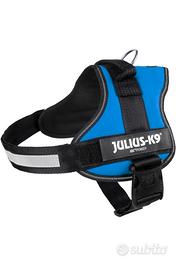 Pettorina Julius taglia 0