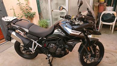 Triumph Tiger 900 gt pro